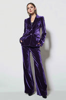 Load image into Gallery viewer, 2 Piece Dark Purple Velvet Notched Lapel Business Suits