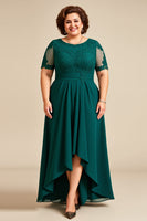 Load image into Gallery viewer, Pine Asymmetrical Appliqued Chiffon Long Mother of the Bride Dress
