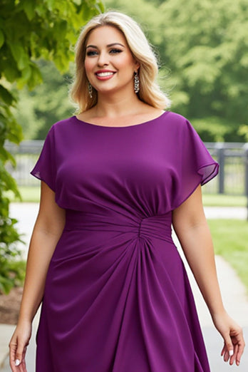 Purple Chiffon Ruched Plus Size A Line Long Mother of the Bride Dress