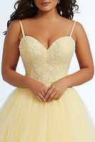 Load image into Gallery viewer, Daffodil Spaghetti Straps A Line Plus Size Prom Dress with Appliques