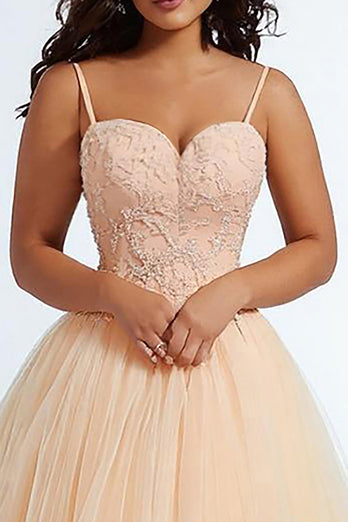 Daffodil Spaghetti Straps A Line Plus Size Prom Dress with Appliques