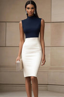 Load image into Gallery viewer, Navy Ivory High Neck Sleevesless Bodycon Work Dress