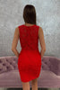 Load image into Gallery viewer, Sparkly Red Lace Tight Short Homecoming Dress with Beading