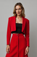 Load image into Gallery viewer, Red 2 Piece Satin A Line Notched Lapel Midi Prom Suits