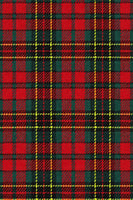 Load image into Gallery viewer, Black and Red Grid 2 Piece Notched Lapel Men Prom Suits