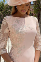 Load image into Gallery viewer, Candy Pink Bodycon Bateau Neck Midi Mother of the Bride Dress with Embroidery
