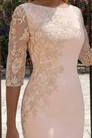 Load image into Gallery viewer, Candy Pink Bodycon Bateau Neck Midi Mother of the Bride Dress with Embroidery