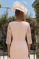 Load image into Gallery viewer, Candy Pink Bodycon Bateau Neck Midi Mother of the Bride Dress with Embroidery
