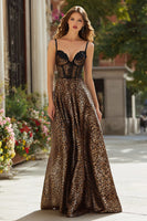 Load image into Gallery viewer, Brown Leopard Print Long Corset Prom Dress with Lace