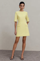Load image into Gallery viewer, Light Yellow Short Crew Neck Work Dress with Sleeves