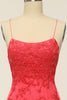 Load image into Gallery viewer, Coral Backless Long Prom Dress with Appliques