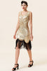 Load image into Gallery viewer, Champagne and Black Sequin Fringe 1920s Dress With 20s Accessories Set