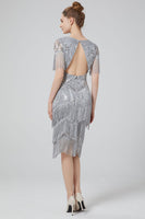 Load image into Gallery viewer, Blush Bodycon Sequins 1920s Dress with Fringes